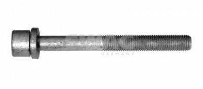 WILMINK GROUP wg1429801 -  Болт головки цилиндра